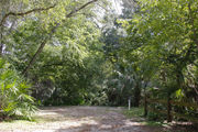 Recreational vehicle utility hook-ups and rustic wooden fencing are surrounded by dense green vegetation on campsite number twenty at Lake Griffin State Park