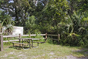 A picnic table, fire ring, and rustic wooden fencing are surrounded by a mixed oak hardwood and sabal palm forest on campsite number twenty-three at Lake Griffin State Park