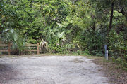 Recreational vehicle utility hook-ups located in front of dense green vegetation on campsite number twenty-four at Lake Griffin State Park
