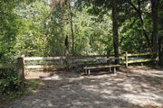 A picnic table, fire ring, and rustic wooden fencing are surrounded by an oak hard wood forest on campsite number twenty-five at Lake Griffin State Park