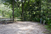 A picnic table, recreational vehicle utility hook-ups, and rustic wooden fencing are surrounded by an oak hard wood forest on campsite number twenty-five at Lake Griffin State Park