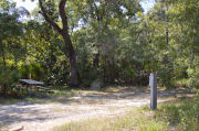 A picnic table, fire ring and recreational vehicle utility hook-ups sit in front of a large oak tree on campsite twenty-six at Lake Griffin State Park