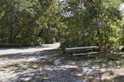 A fire ring and picnic table is surrounded by dense green vegetation on campsite number twenty-six at Lake Griffin State Park