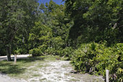 Bright sunlight illuminates the dirt and gravel pad on campsite number twenty-eight at Lake Griffin State Park
