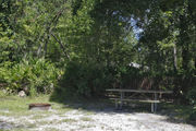 A picnic table, fire ring, and maroon buffer fencing are surrounded by dense green vegetation on campsite number twenty-eight at Lake Griffin State Park