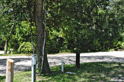 Recreational vehicle utility hook-ups are located in front of a large oak tree on campsite number twenty-eight at Lake Griffin State Park