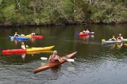Six colorful kayaks on the Fort George River on a tour with the guide explaining the natural surroundings.