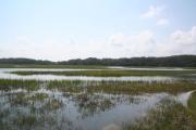 Salt marsh at high tide with creeks seen meandering through the marsh grass across the expansive landscape to Long Island.