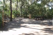 Lush vegetation of Spanish moss draped live oak, cedar, and palmetto surrounding an open campsite with a picnic table, fire ring, cloths line, and electrical hook-up stanchion.