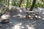 Lush vegetation of palmettos shading an open campsite with a picnic table and fire ring.