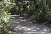 Lush vegetation of Spanish moss draped live oak, sable palm, cedar, and palmetto shading an open pull through campsite with a picnic table and fire ring.