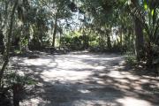 Lush vegetation of Spanish moss draped live oak, sable palm, cedar, and palmetto surrounding an open campsite with a picnic table, fire ring, cloths line, water spigot, and electrical hook-up stanchion.
