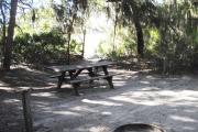 Lush vegetation of Spanish moss draped cedar, and palmetto surrounding an open campsite with a picnic table, fire ring and water spigot.