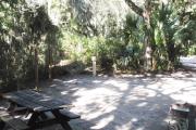 Lush vegetation of Spanish moss draped live oak, sable palm, cedar, and palmetto surrounding an open campsite with a picnic table, fire ring, cloths line, and electrical hook-up stanchion.