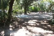 Lush vegetation of Spanish moss draped live oak, sable palm, cedar, and palmetto surrounding an open campsite with an accessible concrete parking pad, picnic table, and grill.