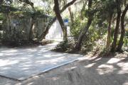 Accessible concrete parking pad and concrete walkway to the bath house with bathhouse in the background camouflaged by lush vegetation of live oaks, Spanish moss, cedar, and palmetto.