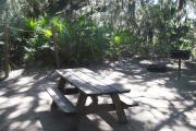 Lush vegetation of Spanish moss draped live oak and palmetto surrounding an open campsite with a picnic table, fire ring, grill, and cloths line.