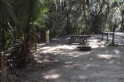Lush vegetation of Spanish moss draped live oak, sable palm, cedar, and palmetto shading an open campsite with a picnic table, fire ring, and electrical hook-up stanchion.
