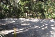 Lush vegetation of Spanish moss draped live oak and palmetto surrounding an open campsite with a cloths line, and electrical hook-up stanchion.