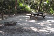 Lush vegetation of sable palms and palmetto surrounding an open campsite with a picnic table and fire ring.