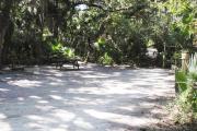 Lush vegetation of Spanish moss draped live oak, sable palm, and palmetto surrounding an open campsite with a picnic table, fire ring, water spigot, cloths line, and electrical hook-up stanchion.