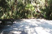 Lush vegetation of Spanish moss draped live oak, sable palm, cedar, and palmetto surrounding an open campsite with a picnic table, water spigot, and electrical hook-up stanchion.