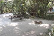 Lush vegetation of Spanish moss draped live oak, sable palm, and palmetto shading an open campsite with a picnic table, and fire ring.