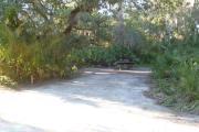 Lush vegetation of Spanish moss draped live oak, sable palms, and palmetto surrounding an open campsite with a picnic table.