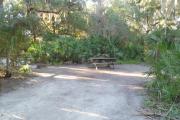 Lush vegetation of Spanish moss draped live oak, sable palms, and palmetto surrounding an open campsite with a picnic table and fire ring.
