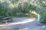 Lush vegetation of Spanish moss draped live oak, sable palms, and palmetto surrounding an open campsite with a picnic table, cloths line, and electrical hook-up stanchion.