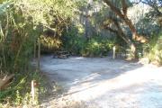 Lush vegetation of Spanish moss draped live oak, sable palms, and palmetto surrounding an open campsite with a picnic table and electrical hook-up stanchion.