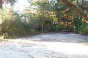 Lush vegetation of Spanish moss draped live oak, sable palms, and palmetto surrounding an open campsite with a picnic table and cloths line.