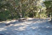 Lush vegetation of Spanish moss draped live oak, sable palm, cedar, and palmetto surrounding an open campsite with a picnic table, fire ring, cloths line, water spigot, and electrical hook-up stanchion.