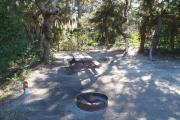 Lush vegetation of Spanish moss draped live oak, sable palm, cedar, and palmetto surrounding an open campsite with a picnic table, fire ring, cloths line, water spigot, and electrical hook-up stanchion.