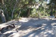 Lush vegetation of Spanish moss draped live oak, sable palm, cedar, and palmetto shading an open campsite with a picnic table, fire ring, cloths line, water spigot, and electrical hook-up stanchion.