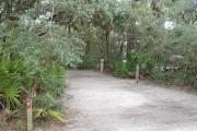 Lush vegetation of Spanish moss draped live oak, sable palm, cedar, and palmetto surrounding an open campsite with a water spigot and electrical hook-up stanchion.