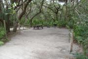 Lush vegetation of Spanish moss draped live oak, sable palm, and palmetto shading an open campsite with a picnic table, fire ring, cloths line, water spigot, and grill.