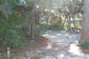 Lush vegetation of Spanish moss draped live oak, and red cedar shading an open campsite with a picnic table, fire ring, cloths line, and electric hook-up stanchion.