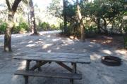Lush vegetation of Spanish moss draped live oak, palmetto, and red cedar shading an open campsite with a picnic table, and fire ring.