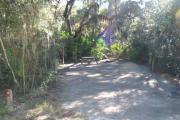 Lush vegetation of Spanish moss draped live oak, red cedar, and palmetto surrounding an open campsite with a picnic table fire ring, cloths line, water spigot, and electrical hook-up stanchion.