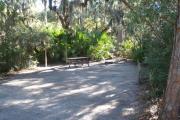 Lush vegetation of Spanish moss draped live oak, red cedar, and palmetto surrounding an open campsite with a picnic table, fire ring, cloths line, and water spigot.