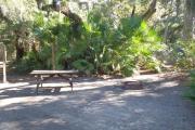 Lush vegetation of Spanish moss draped live oak, red cedar, and palmetto surrounding an open campsite with a picnic table, fire ring, and cloths line.