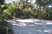 Lush vegetation of Spanish moss draped live oak, red cedar, and palmettos surrounding an open campsite with a picnic table, fire ring, cloths line, water spigot, and electrical hook-up stanchion.