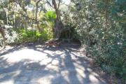 Lush vegetation of Spanish moss draped live oak and palmettos surrounding an open campsite with a picnic table, fire ring, and water spigot.