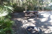 Lush vegetation of Spanish moss draped live oak and palmettos surrounding an open campsite with a picnic table, fire ring, and electrical hook-up stanchion.