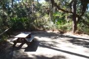Lush vegetation of Spanish moss draped live oak, red cedar, and palmettos surrounding an open campsite with a picnic table and cloths line.