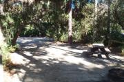 Lush vegetation of Spanish moss draped live oak, red cedar, and palmettos shading an open campsite with a picnic table and fire ring.