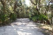 Lush vegetation of Spanish moss draped live oak, sable palms, and palmetto surrounding an open campsite with a picnic table, cloths line, fire ring, and water spigot.
