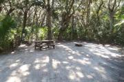 Lush vegetation of Spanish moss draped live oak, sable palms, and palmetto surrounding an open campsite with a picnic table, cloths line, and fire ring.