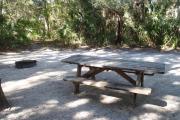Lush vegetation of Spanish moss draped live oak, sable palms, and palmetto surrounding an open campsite with a picnic table and fire ring.